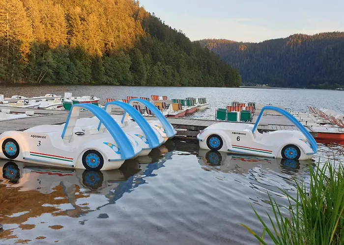 펜션 Maison Kerthoff 41d 제라르메르